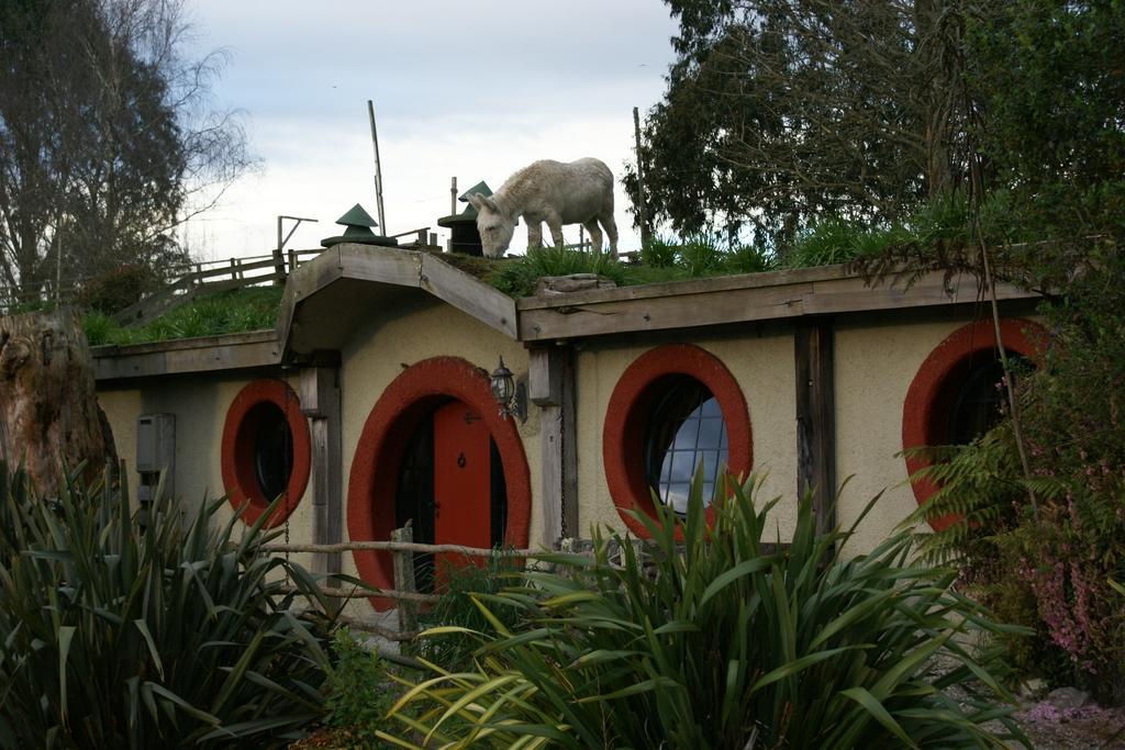 Woodlyn Park Motel Waitomo Glowworm Zewnętrze zdjęcie